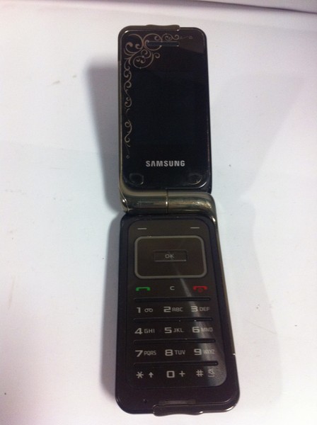 Samsung SGH-L310.JPG